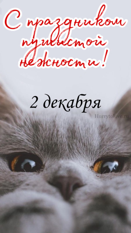 Хостинг картинок yapx.ru