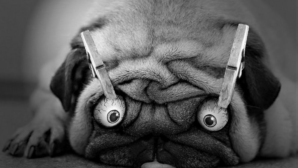 Хостинг картинок yapx.ru