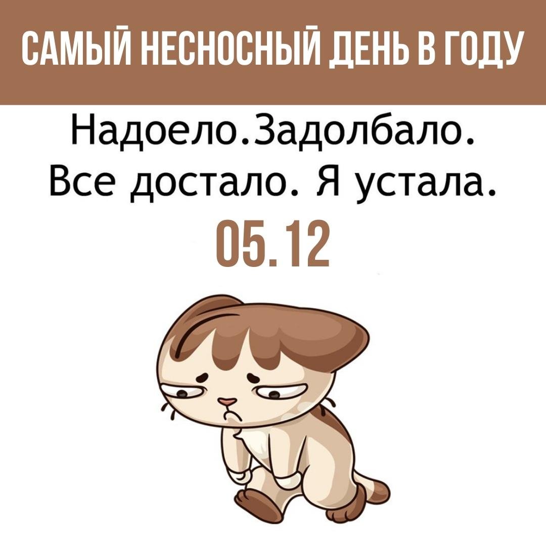 Картинки на Самый несносный день в году 5 Декабря Картинки на Самый несносный день в году 5 Декабря