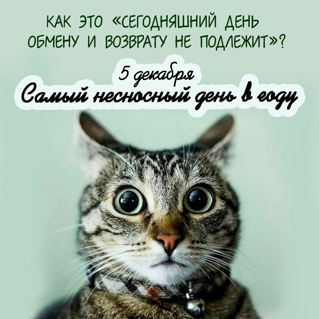 Смешные открытки на Самый несносный день в году 5 Декабря 2023 - 2024 (20 фото) Смешные открытки на Самый несносный день в году 5 Декабря 2023 - 2024 (20 фото)