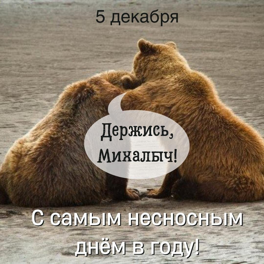 Смешные открытки на Самый несносный день в году 5 Декабря 2023 - 2024 (20 фото) Смешные открытки на Самый несносный день в году 5 Декабря 2023 - 2024 (20 фото)