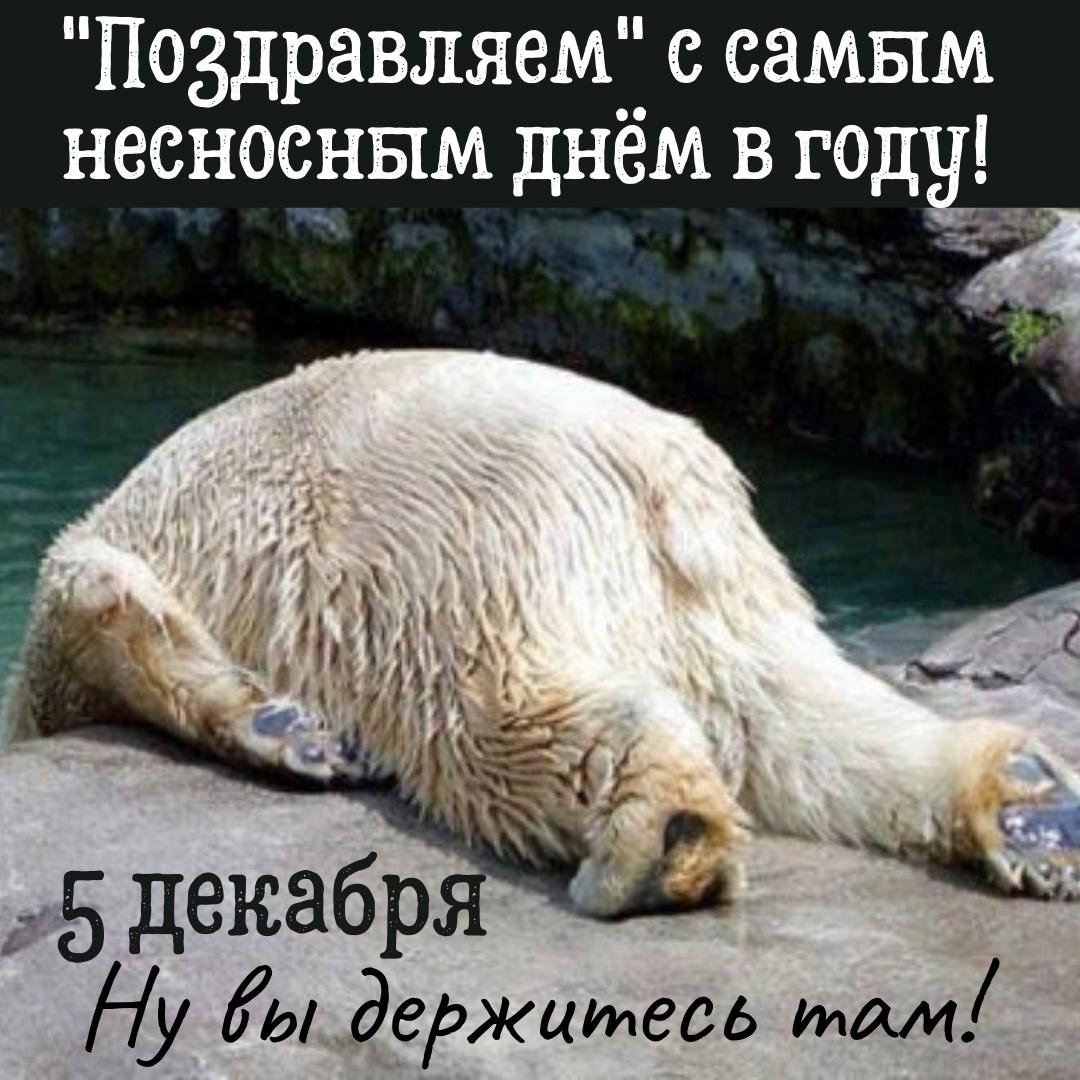 Хостинг картинок yapx.ru