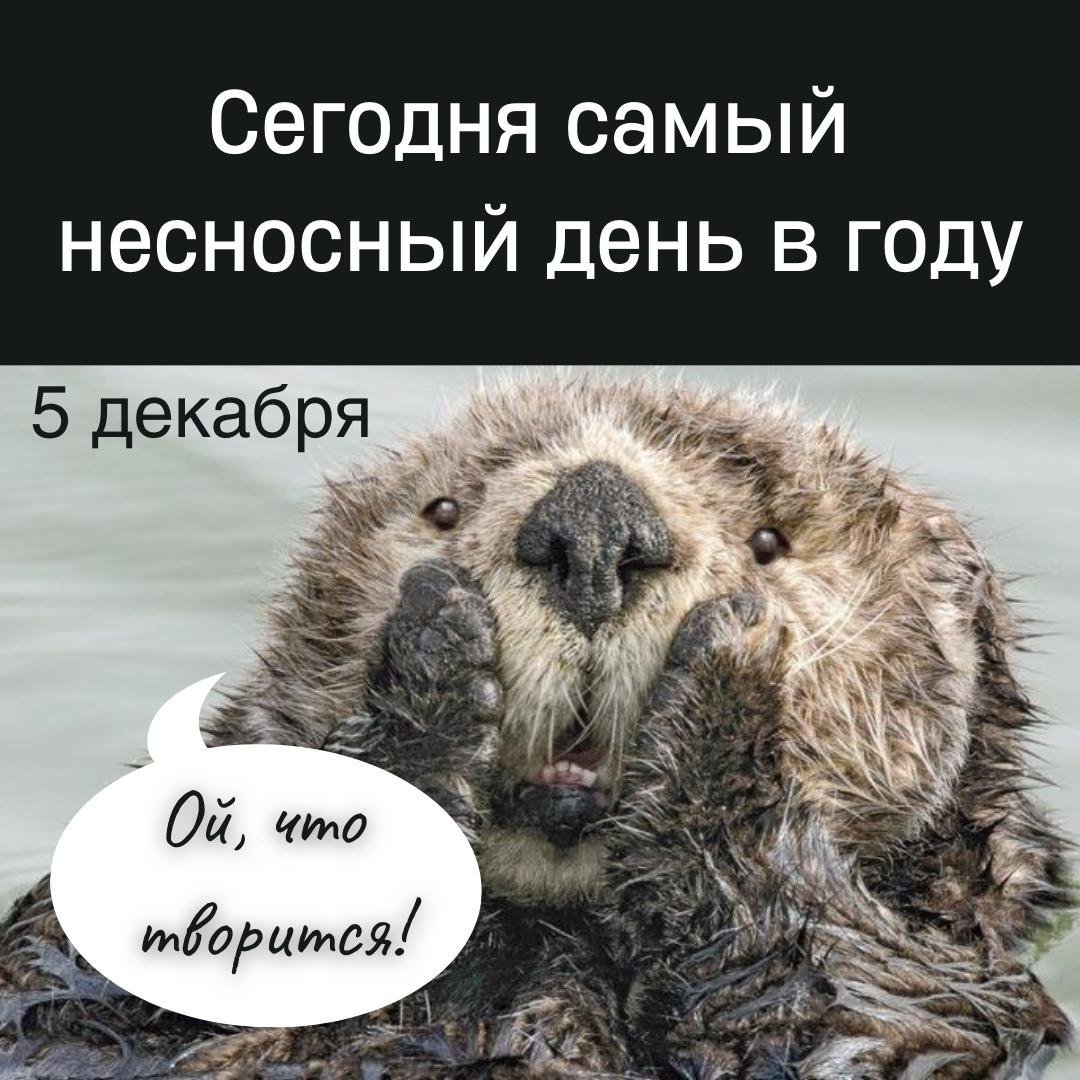 Смешные открытки на Самый несносный день в году 5 Декабря 2023 - 2024 (20 фото) Смешные открытки на Самый несносный день в году 5 Декабря 2023 - 2024 (20 фото)