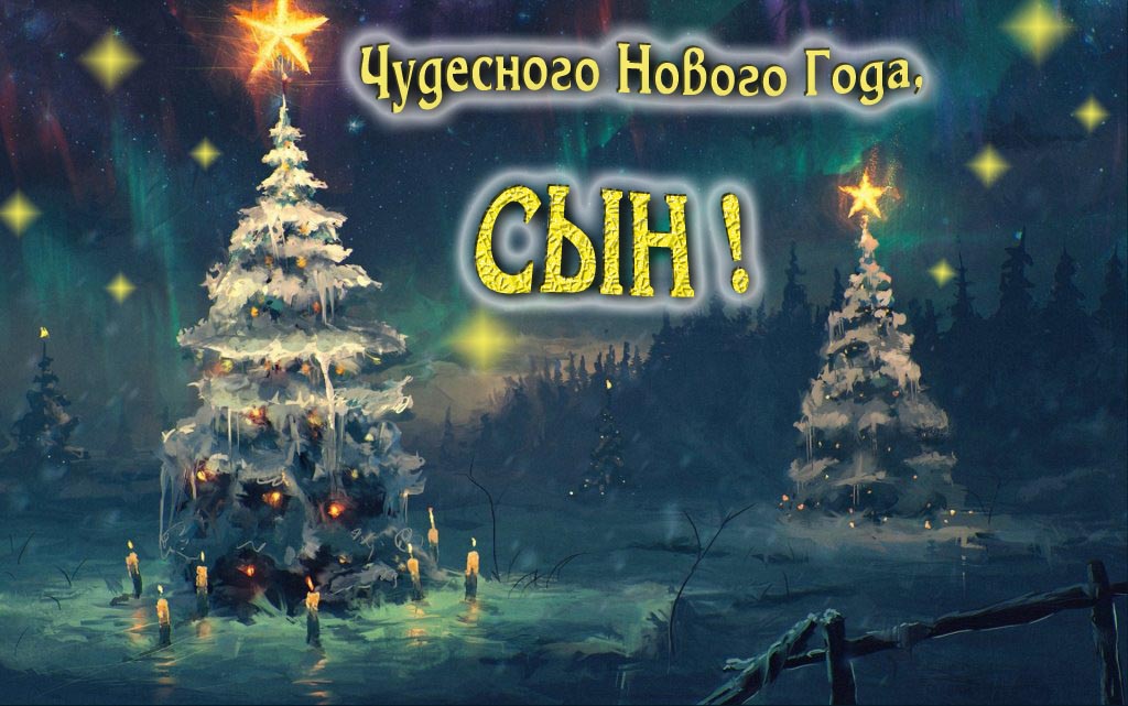 Чудесного Нового Года, Сын.