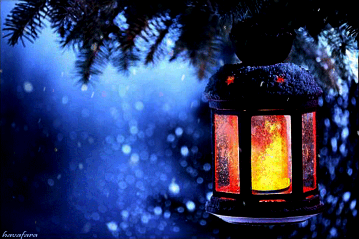 Анимация Рождественский фонарь в зимнем лесу во время снегопада. Анимация Рождественский фонарь в зимнем лесу во время снегопада.