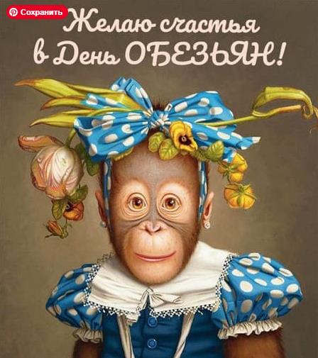 Сегодня Международный день обезьян, или Monkey Day. Сегодня Международный день обезьян, или Monkey Day.