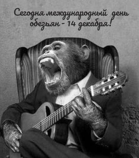 Хостинг картинок yapx.ru