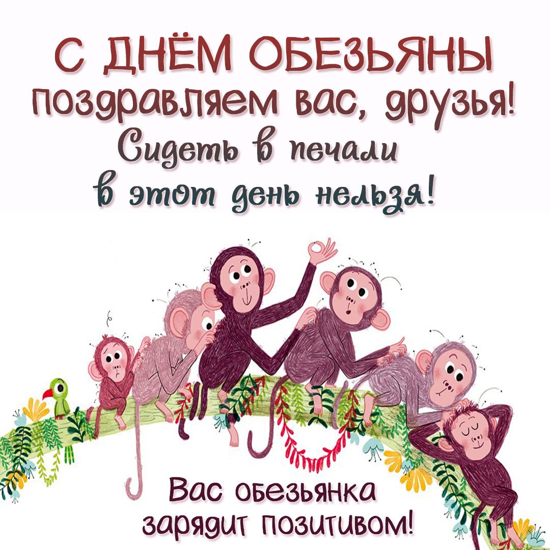 Международный день обезьян открытки Международный день обезьян открытки
