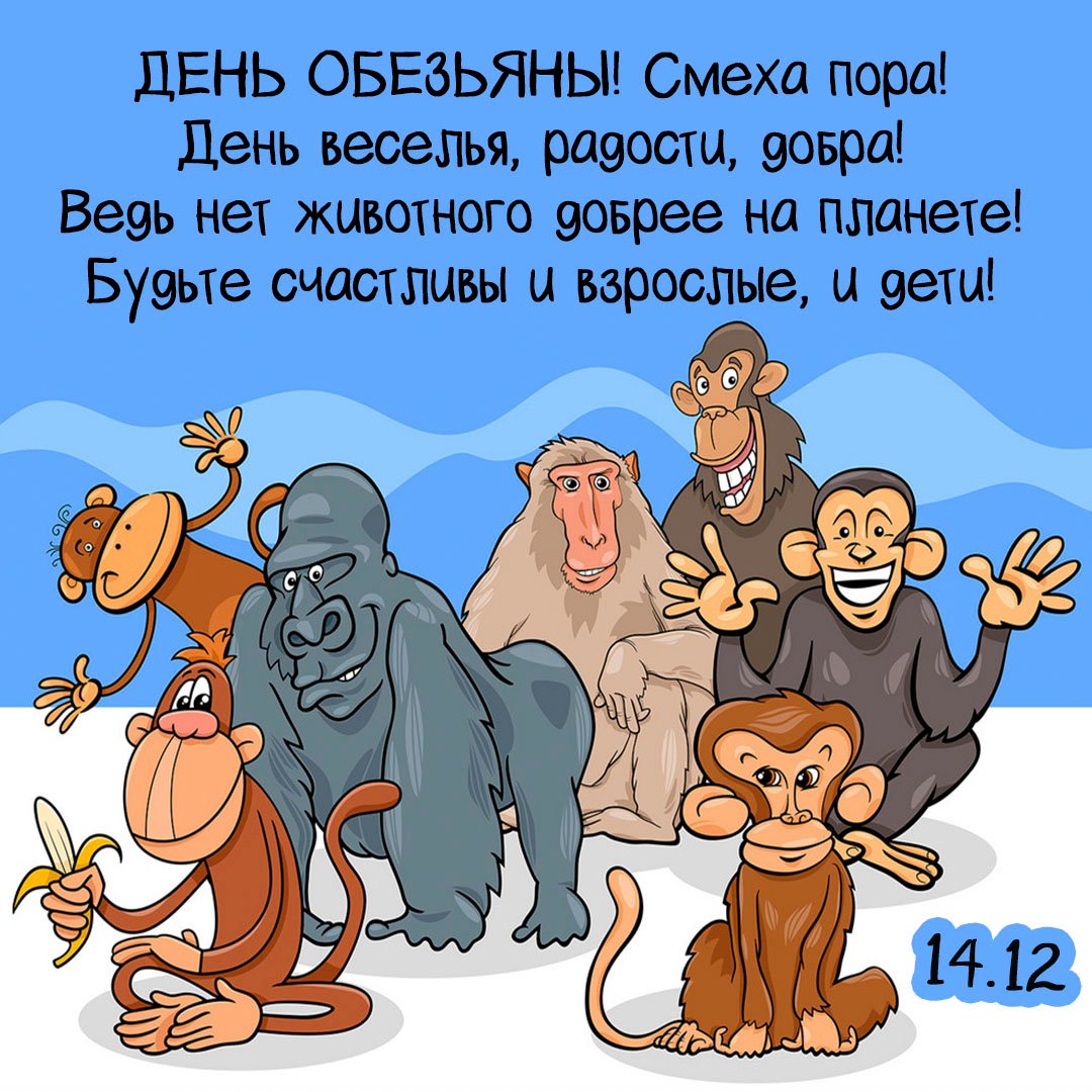 Хостинг картинок yapx.ru