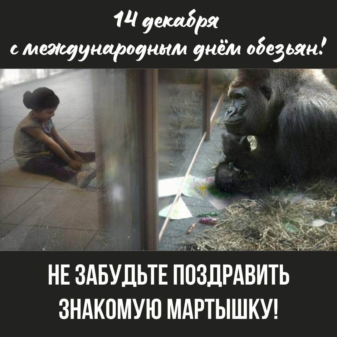 Хостинг картинок yapx.ru