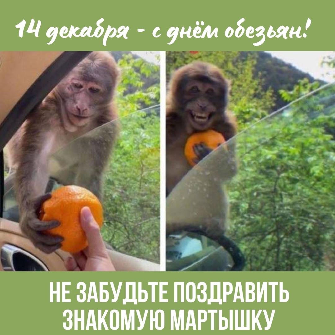 Хостинг картинок yapx.ru