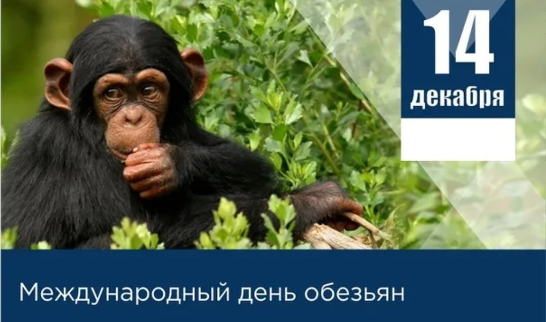 Хостинг картинок yapx.ru