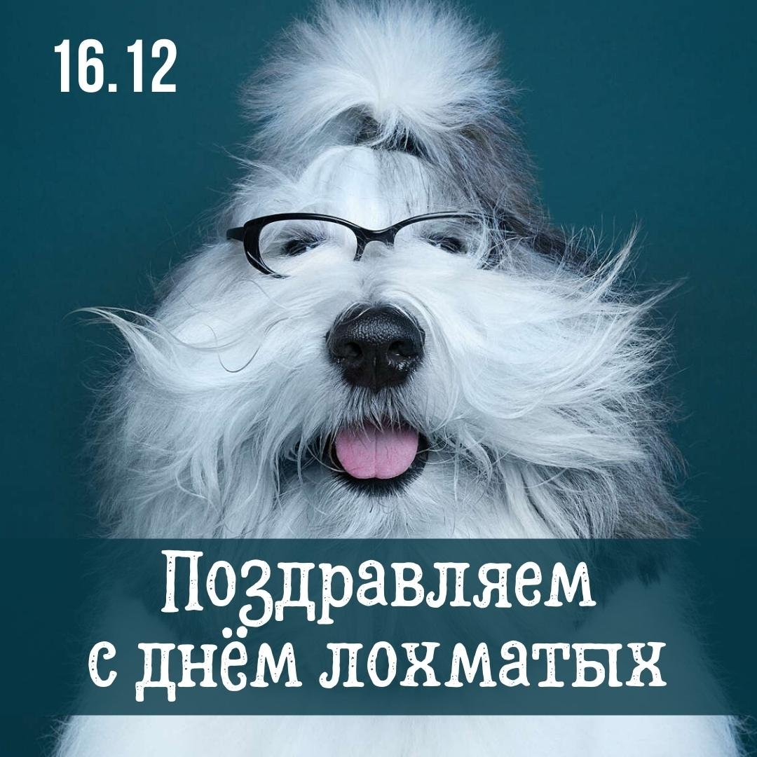 Хостинг картинок yapx.ru