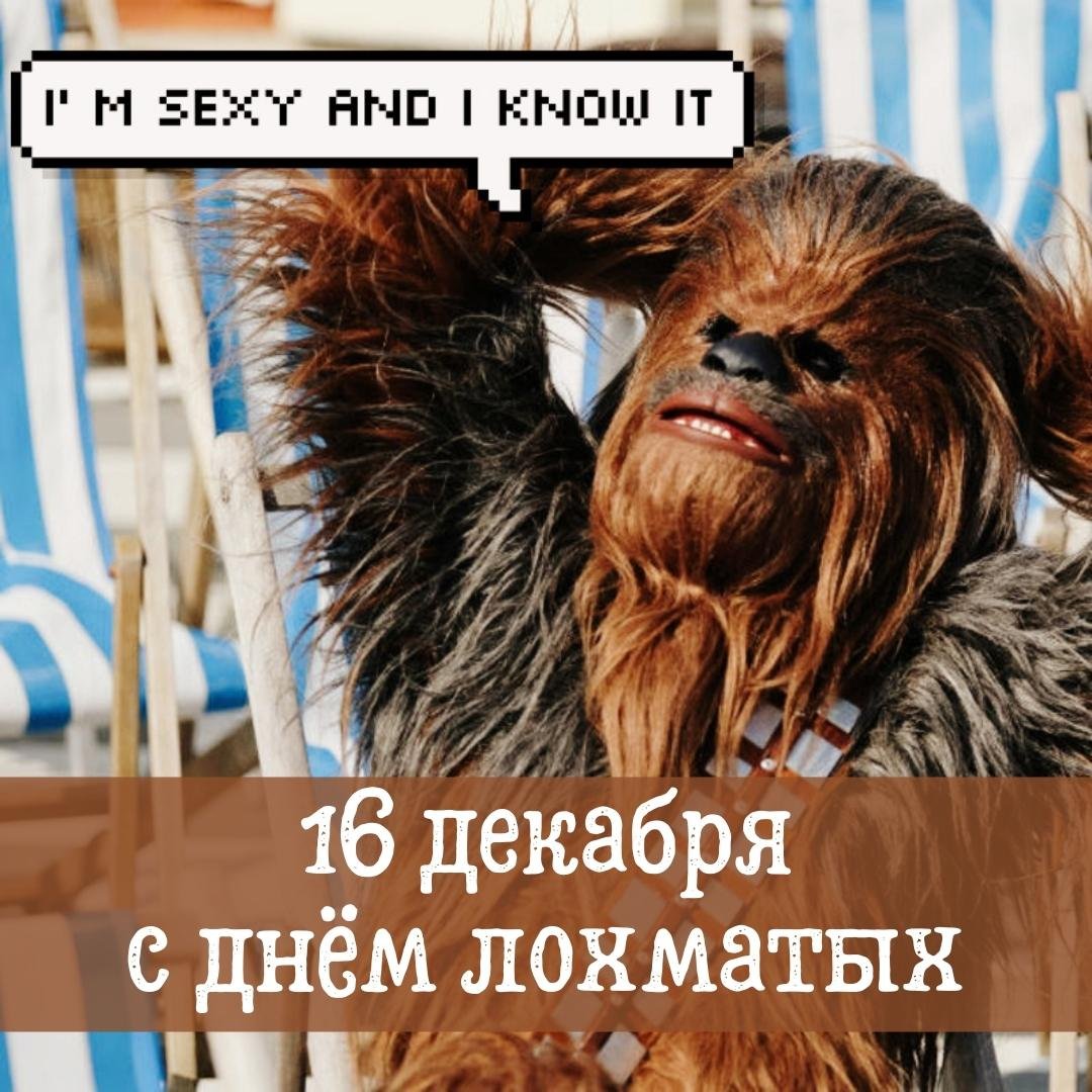 Хостинг картинок yapx.ru