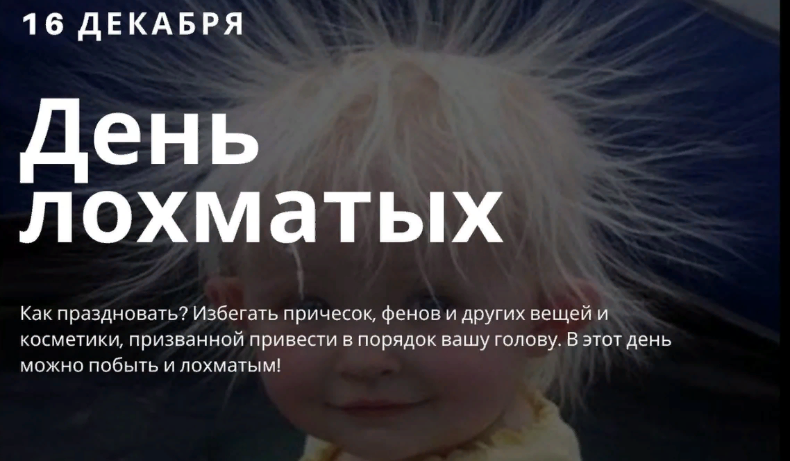 Красивая картинка с Днем лохматых. Красивая картинка с Днем лохматых.