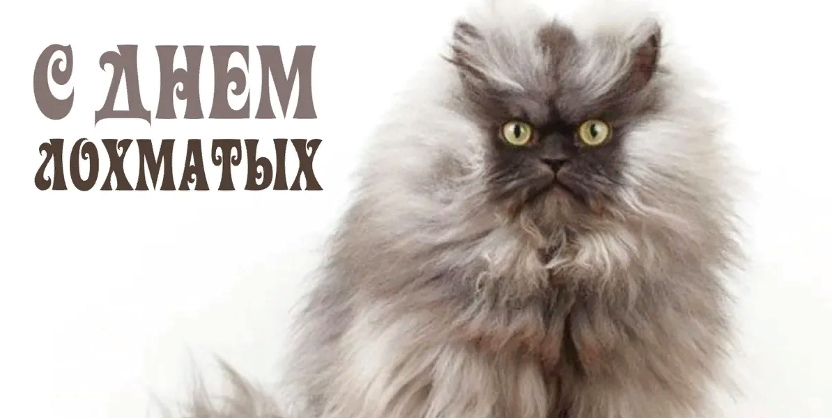 День лохматых в 2023 году: какого числа, дата и история праздника 16 Декабря. День лохматых в 2023 году: какого числа, дата и история праздника 16 Декабря.