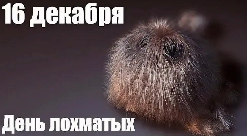 Хостинг картинок yapx.ru