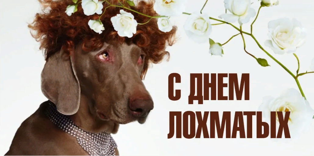 День лохматых 16 декабря 2023 года отмечается такой интересный праздник. День лохматых 16 декабря 2023 года отмечается такой интересный праздник.