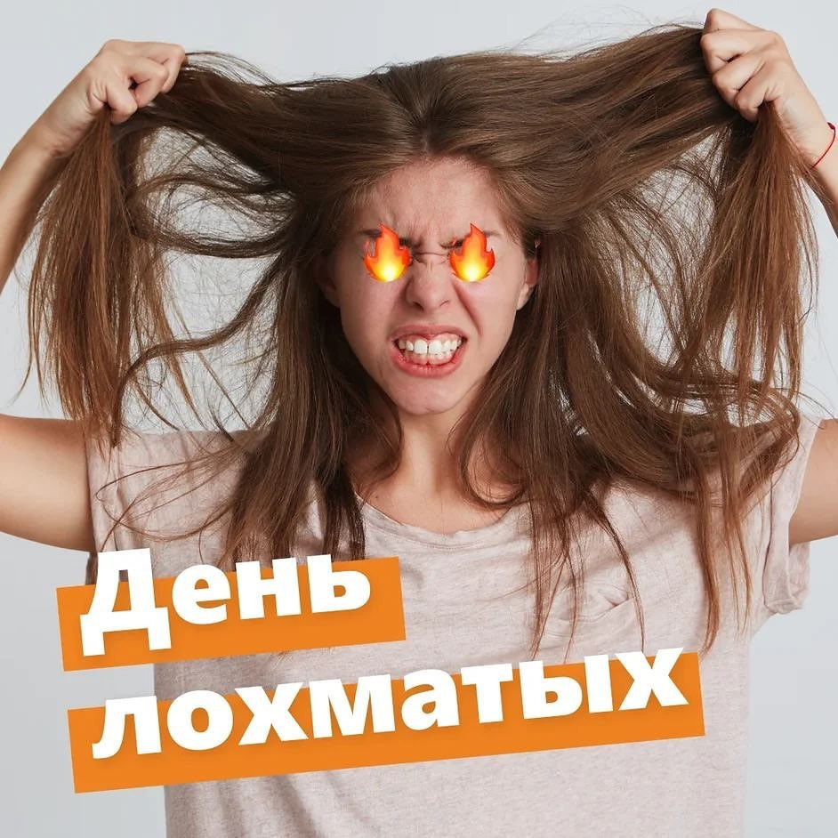 Смешная Картинка поздравление с Днем лохматых. Смешная Картинка поздравление с Днем лохматых.