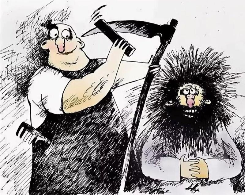 Всемирный день лохматых, приколы, шутки, мемы. Всемирный день лохматых, приколы, шутки, мемы.