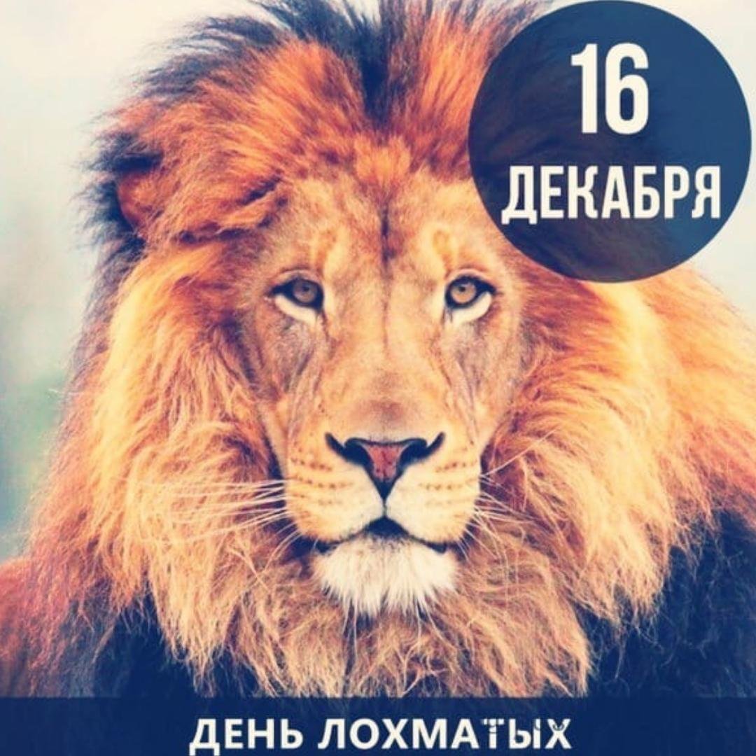 День Лохматых, 16 Декабря Праздник. День Лохматых, 16 Декабря Праздник.