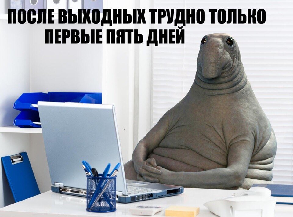 Первый рабочий день Мем