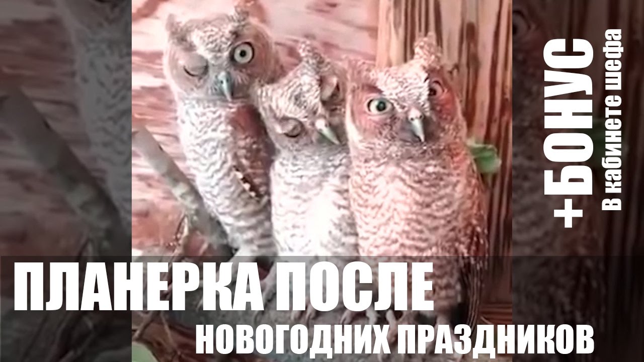 Планёрка после нового года.