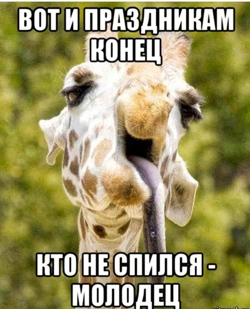 Вот и праздникам конец, кто не спился молодец!