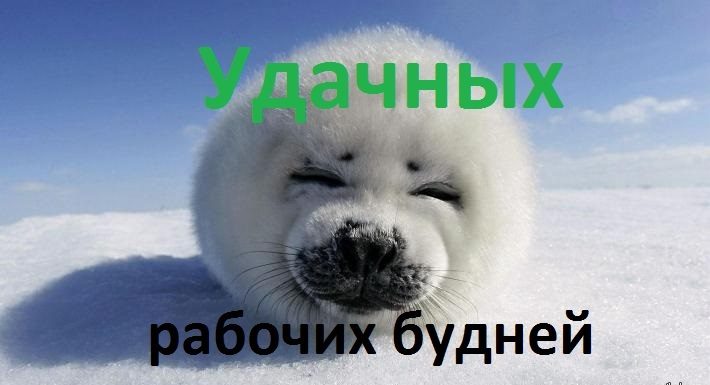Удачных рабочих будней!