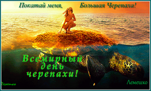 Всемирный день черепахи 23 мая гиф
