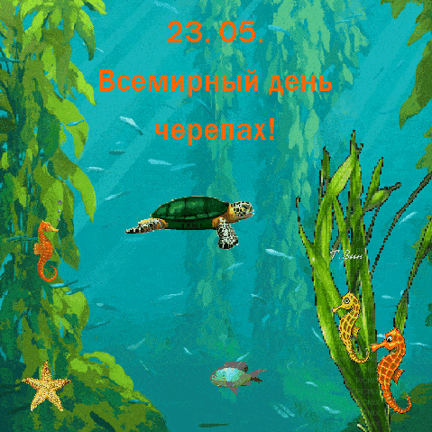 Всемирный день черепахи 23 мая гиф