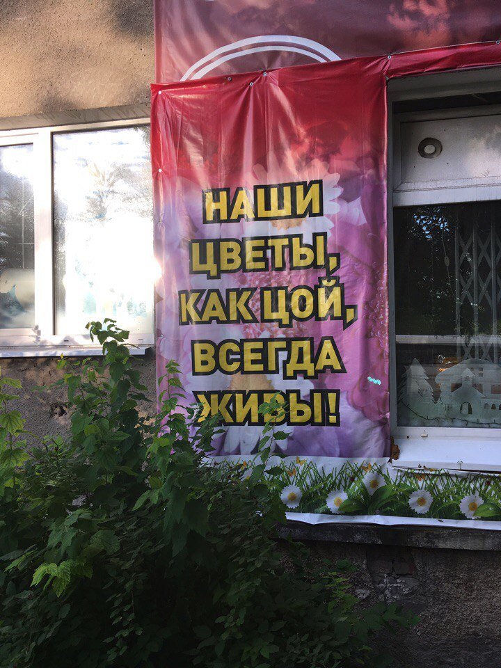 Хостинг картинок yapx.ru