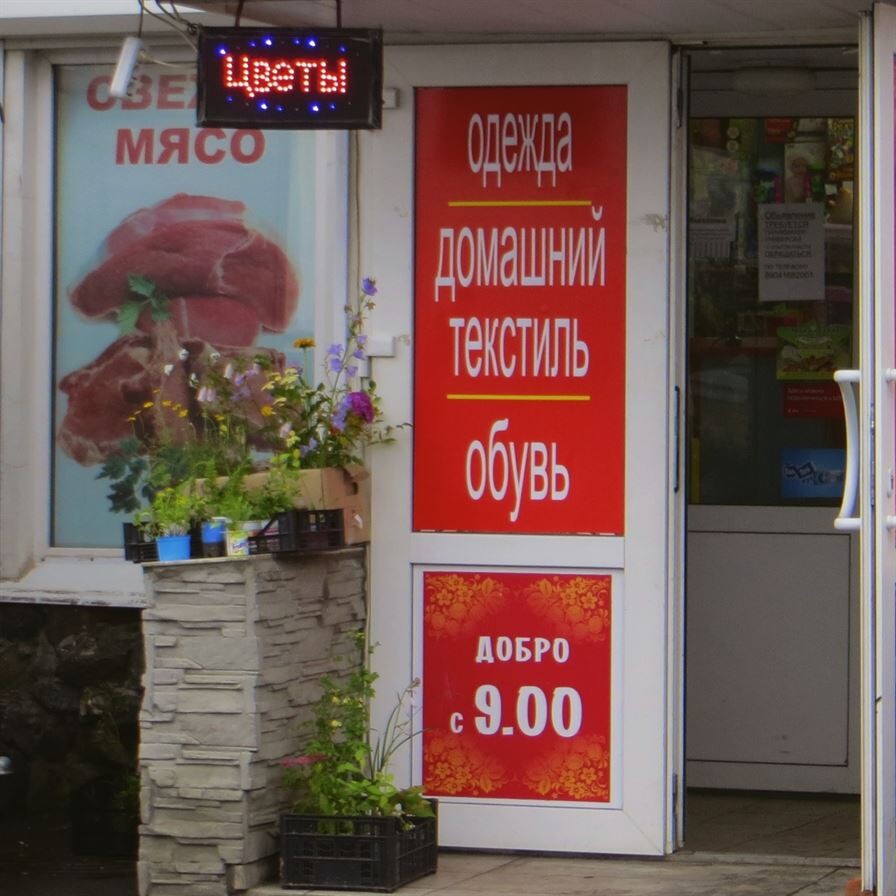 Хостинг картинок yapx.ru