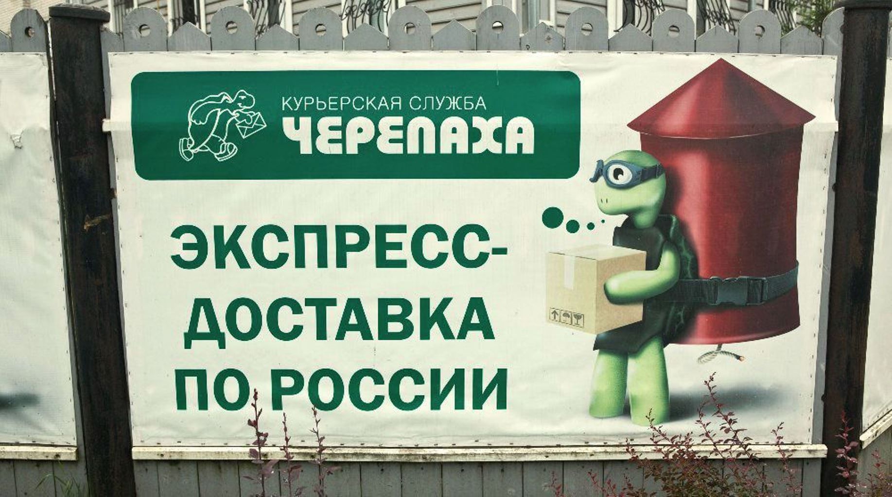 Хостинг картинок yapx.ru