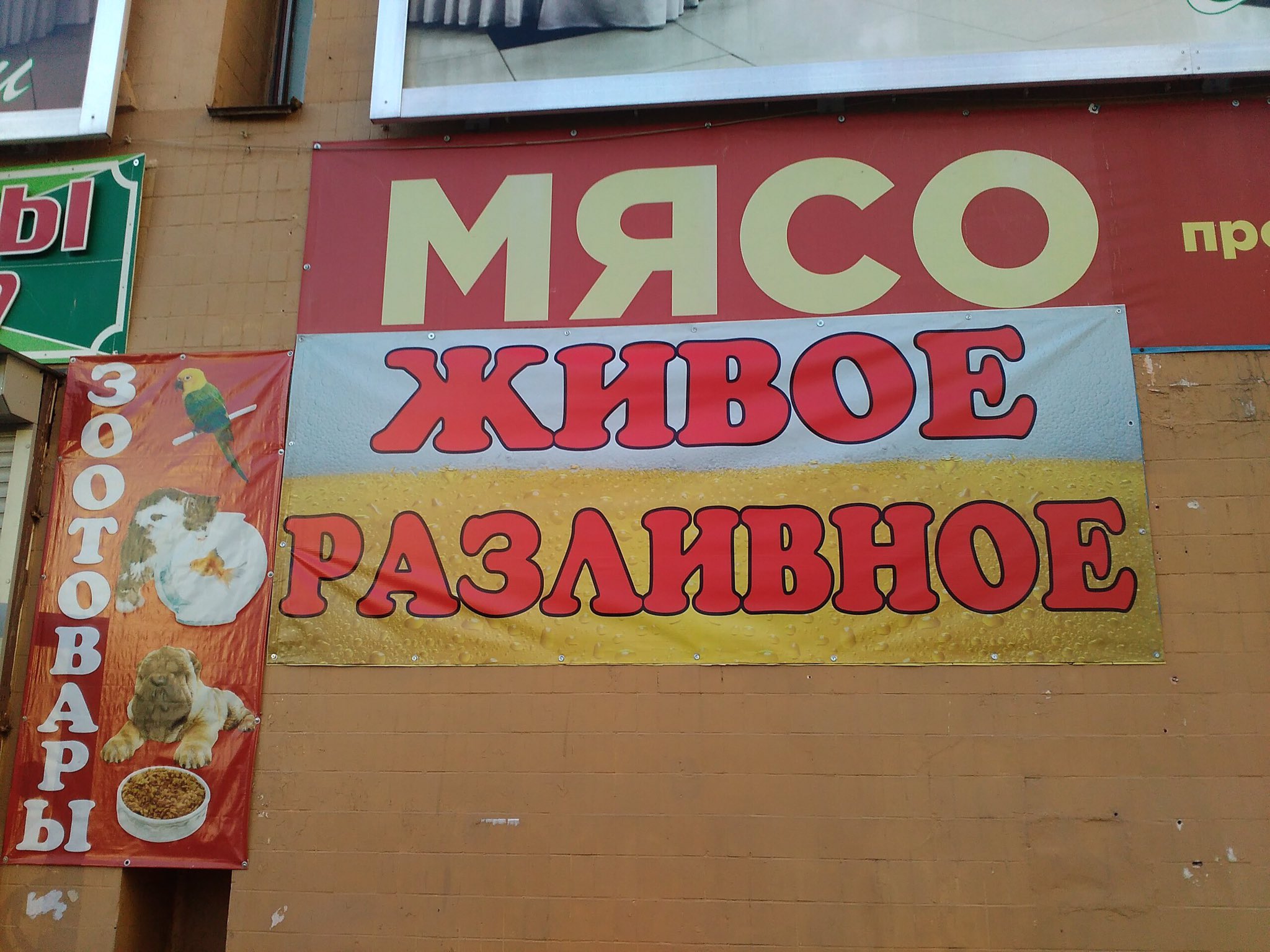 Хостинг картинок yapx.ru