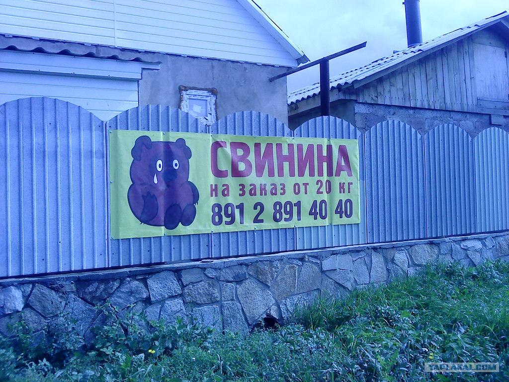 Хостинг картинок yapx.ru