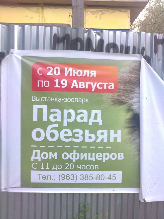 Хостинг картинок yapx.ru