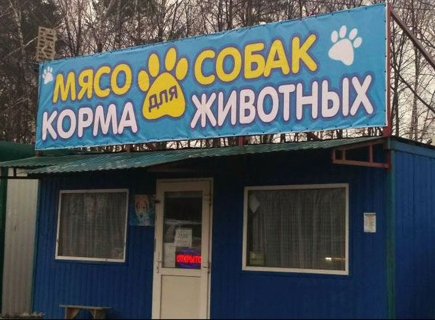 Хостинг картинок yapx.ru