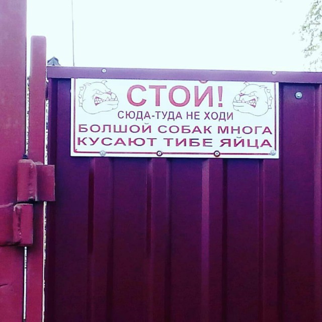 Хостинг картинок yapx.ru