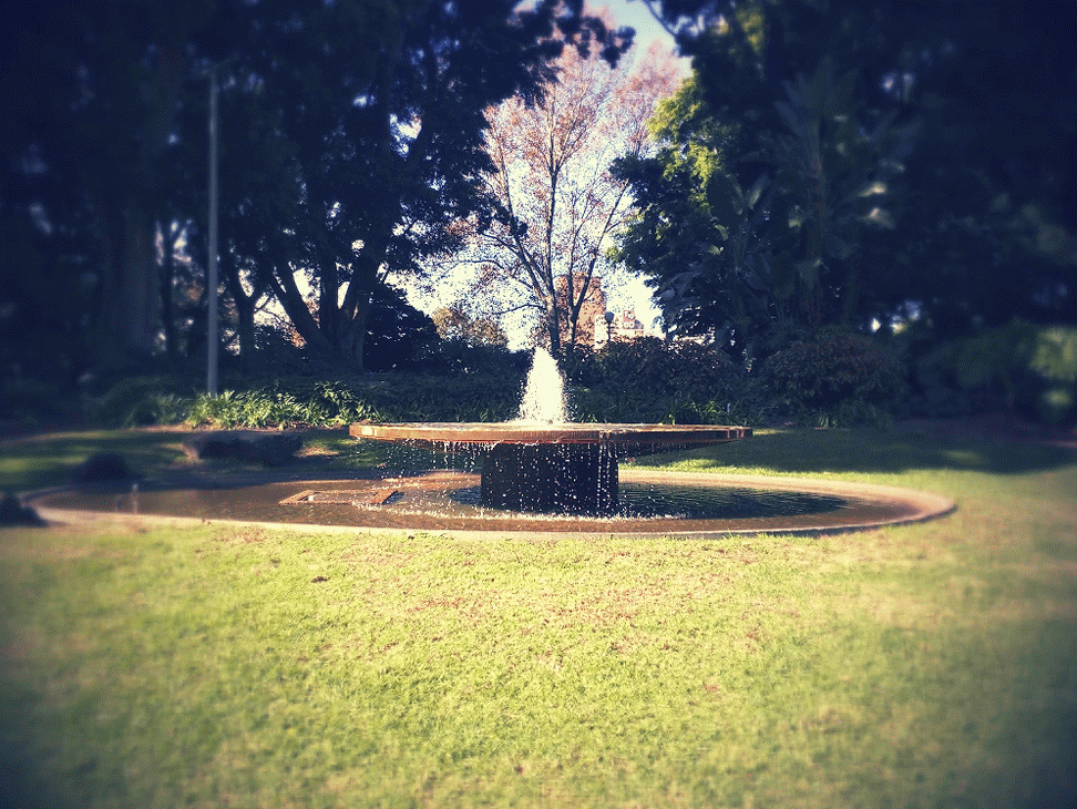 19 й век гифка. Фон парк, Парк гиф.