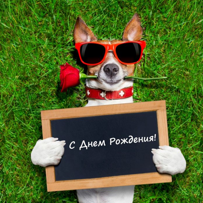 Открытки для мужчины с Днем Рождения. 