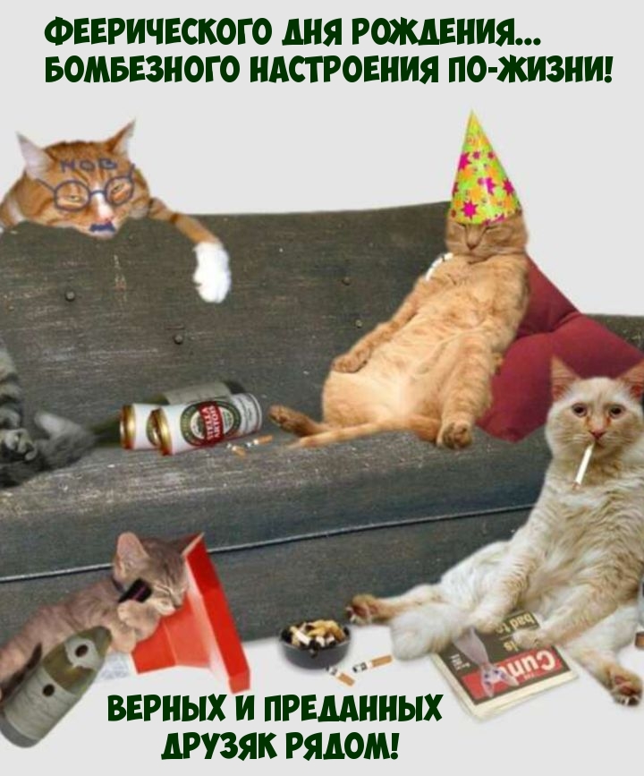 Смешные поздравления с днем рождения мужчине (70 фото).