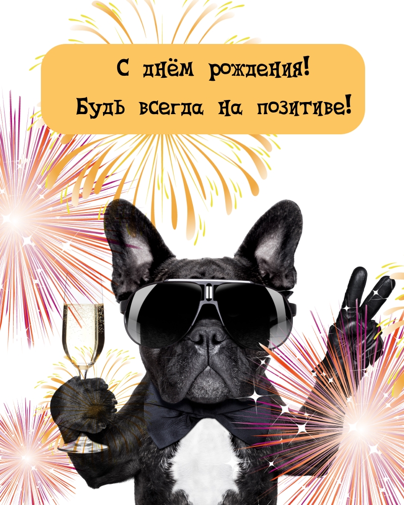 70 Прикольных Открыток "С Днем Рождения" в 2023 году.