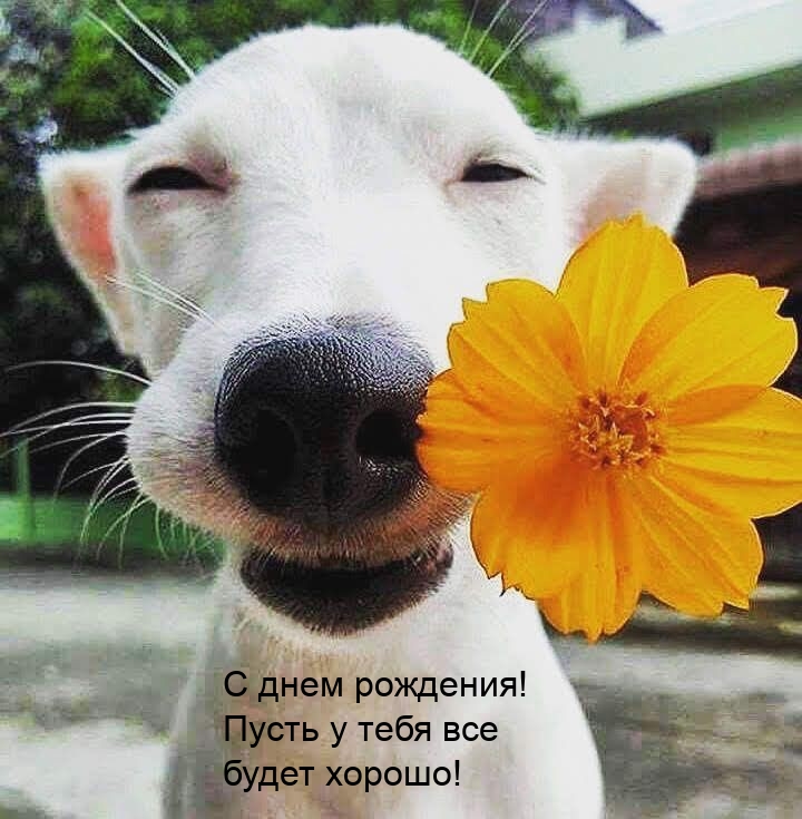 Поздравления с Днем рождения мужчине, красивые.