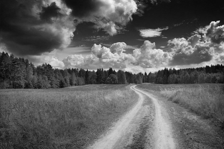 Хостинг картинок yapx.ru