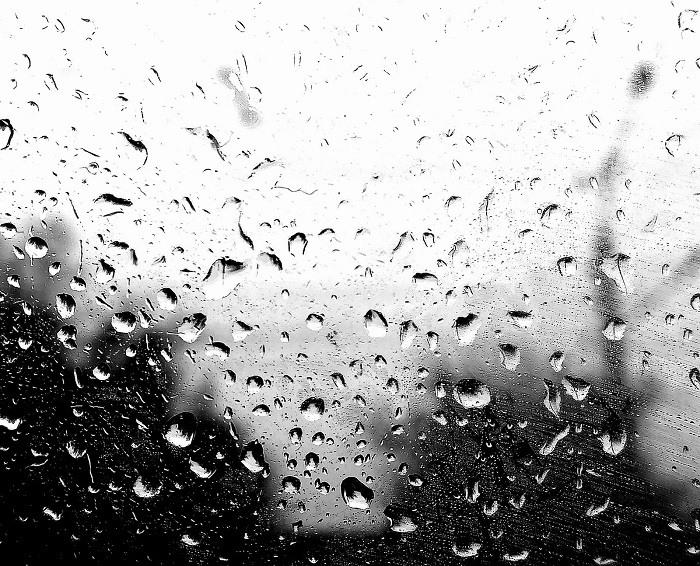 Хостинг картинок yapx.ru