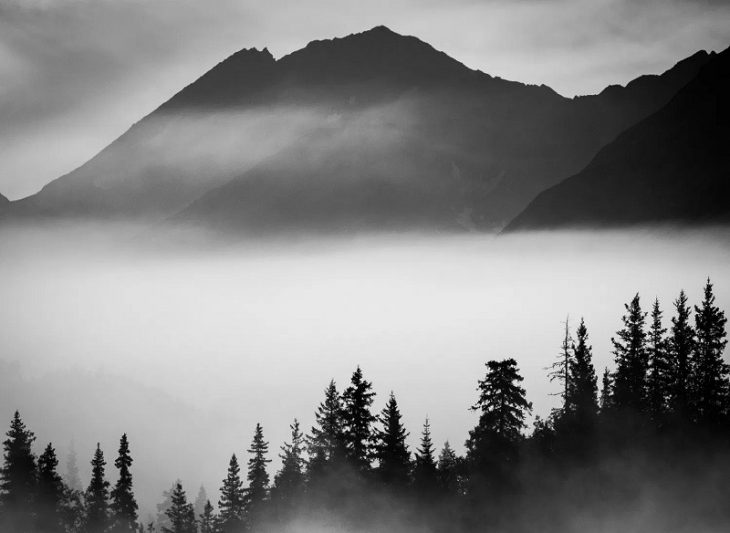 Хостинг картинок yapx.ru