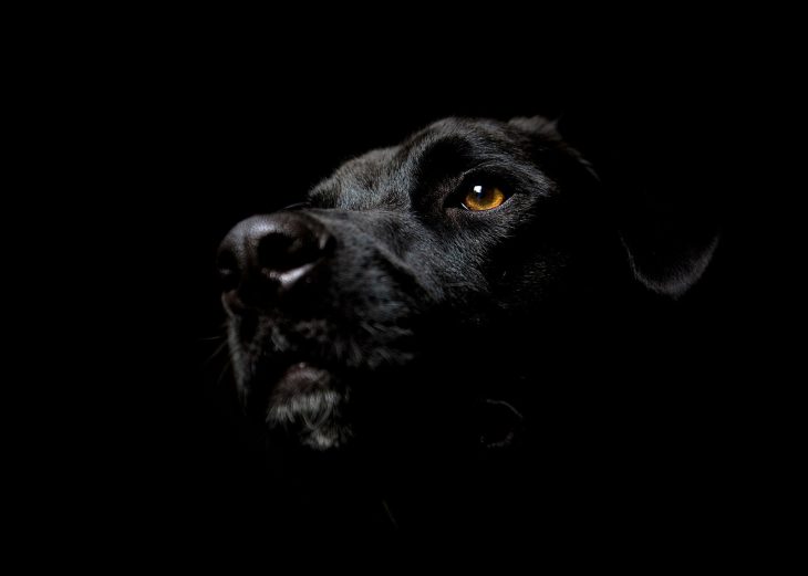 Хостинг картинок yapx.ru