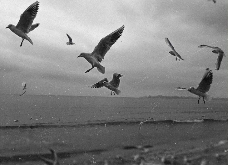 Хостинг картинок yapx.ru