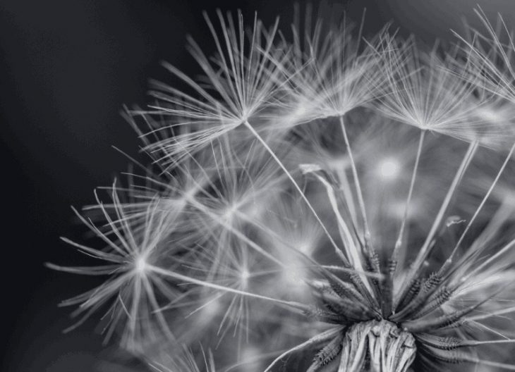 Хостинг картинок yapx.ru